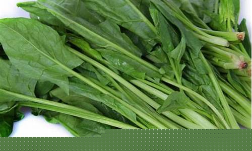 菠菜信息大全(菠菜大全网)